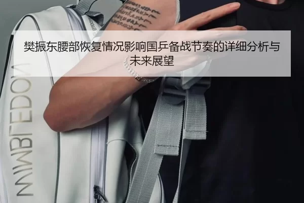 樊振东腰部恢复情况影响国乒备战节奏的详细分析与未来展望